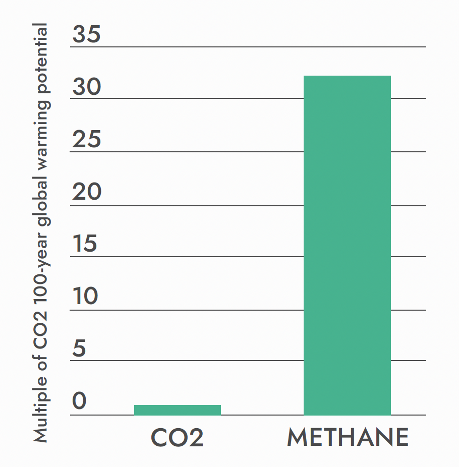 Graph showing multiple of carbon dioxide 100-year global warming potential